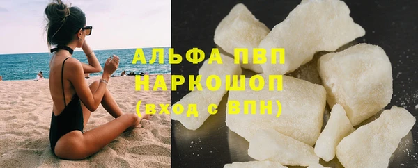 прущие грибы Переславль-Залесский