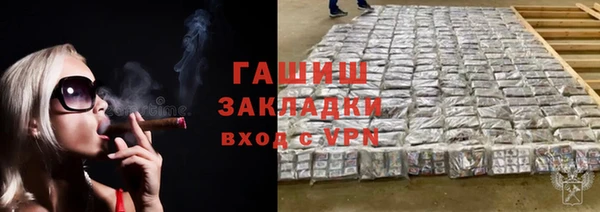 прущие грибы Переславль-Залесский