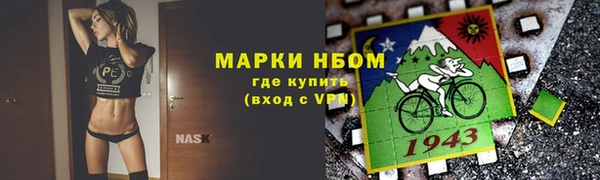 прущие грибы Переславль-Залесский