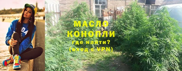 прущие грибы Переславль-Залесский