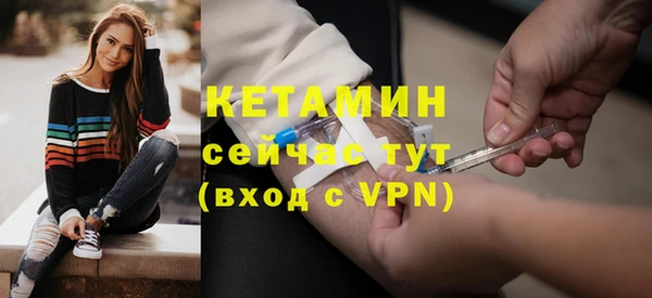 прущие грибы Переславль-Залесский
