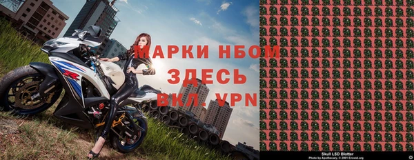 прущие грибы Переславль-Залесский