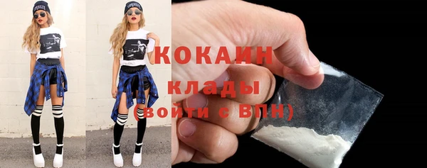 прущие крисы Пересвет