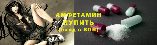 мдпв Вязьма