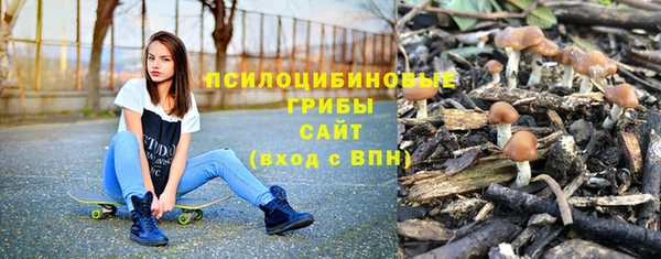 скорость Пестово