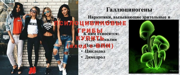 прущие крисы Пересвет