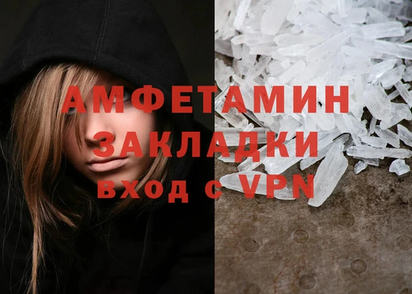 прущие грибы Переславль-Залесский