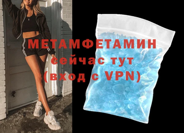 прущие грибы Переславль-Залесский
