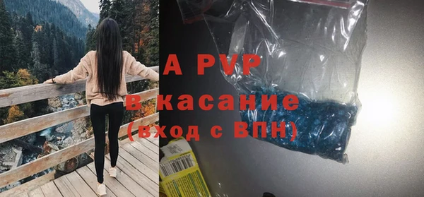 прущие крисы Пересвет