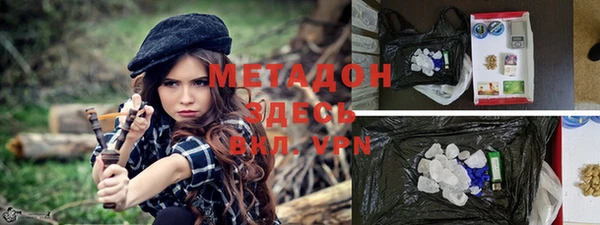 прущие грибы Переславль-Залесский