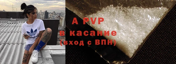 прущие крисы Пересвет
