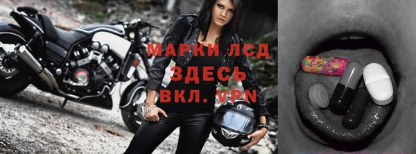 прущие грибы Переславль-Залесский