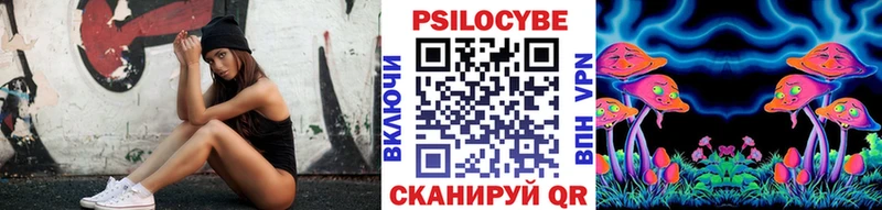 где купить наркотик  Вязьма  Псилоцибиновые грибы Magic Shrooms 