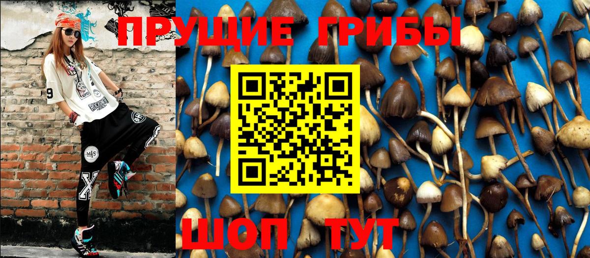 Псилоцибиновые грибы Magic Shrooms Вязьма