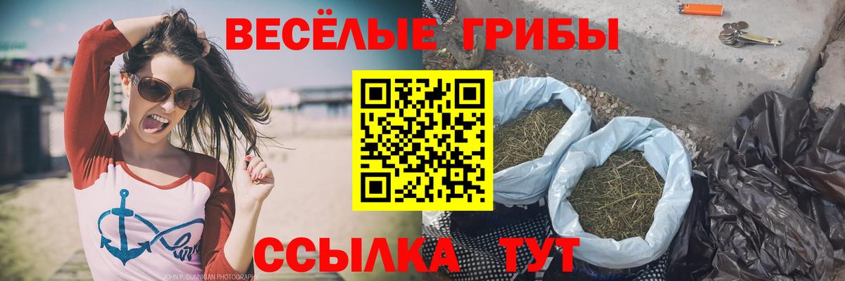 Вязьма  купить   Псилоцибиновые грибы Psilocybe  Вход с VPN  Галлюциногенные грибы GOLDEN TEACHER 